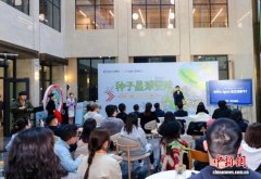 AI重构创业范式 浙江发力构筑OPC创业新生态