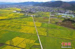 百年古堰润“耕”基，万亩良田促振兴：探访重庆秀山治水兴农的古今智慧